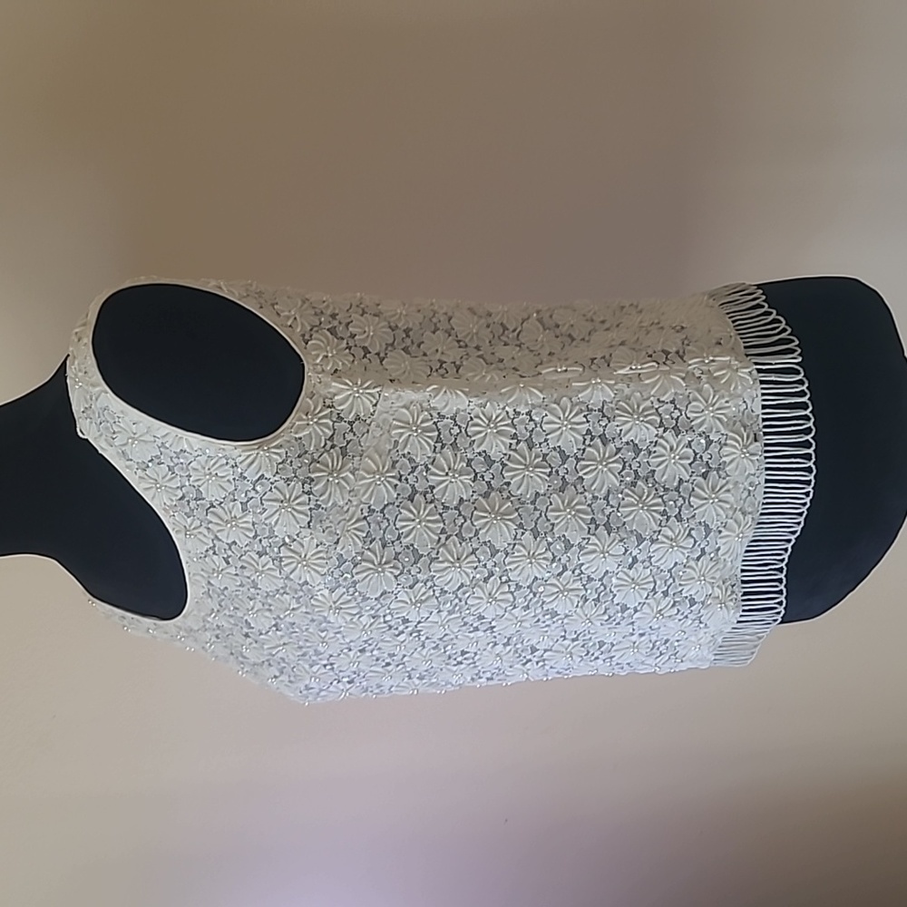 TheEverllitCo. Cashmere Angora beaded tank size 36 - Picture 4 of 11